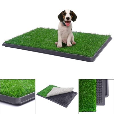 Artificial turf for shop dog potty