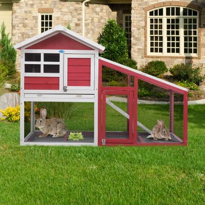 Outdoor Large 2-Story Rabbit Hutch & Chicken Run
