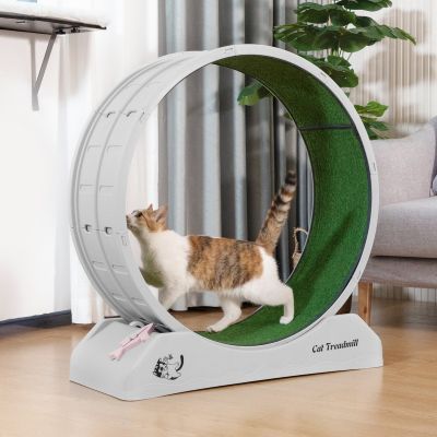 31.5″L Cat Exercise Wheel, Indoor Cat Treadmill With Locking Mechanism, Gray