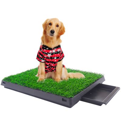 Not-Burned Dog Pee Grass Training Potty W/Drainage