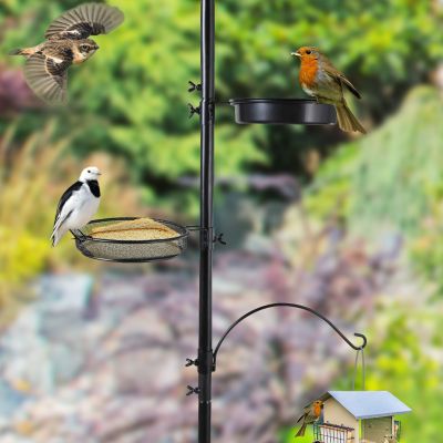 Bird Feeding Station W/7-Hook Stand, 2 Feeders