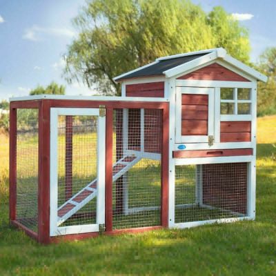 Walk-in Backyard Chicken Coop Run W/Nesting Box