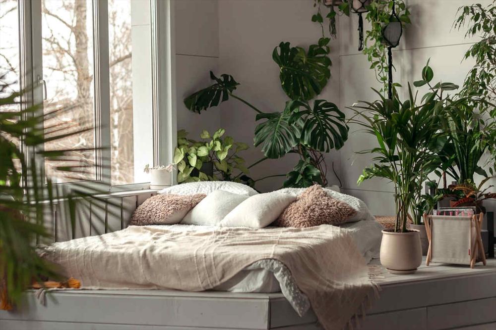 Ideas for Sustainable Home Decor You Should Consider